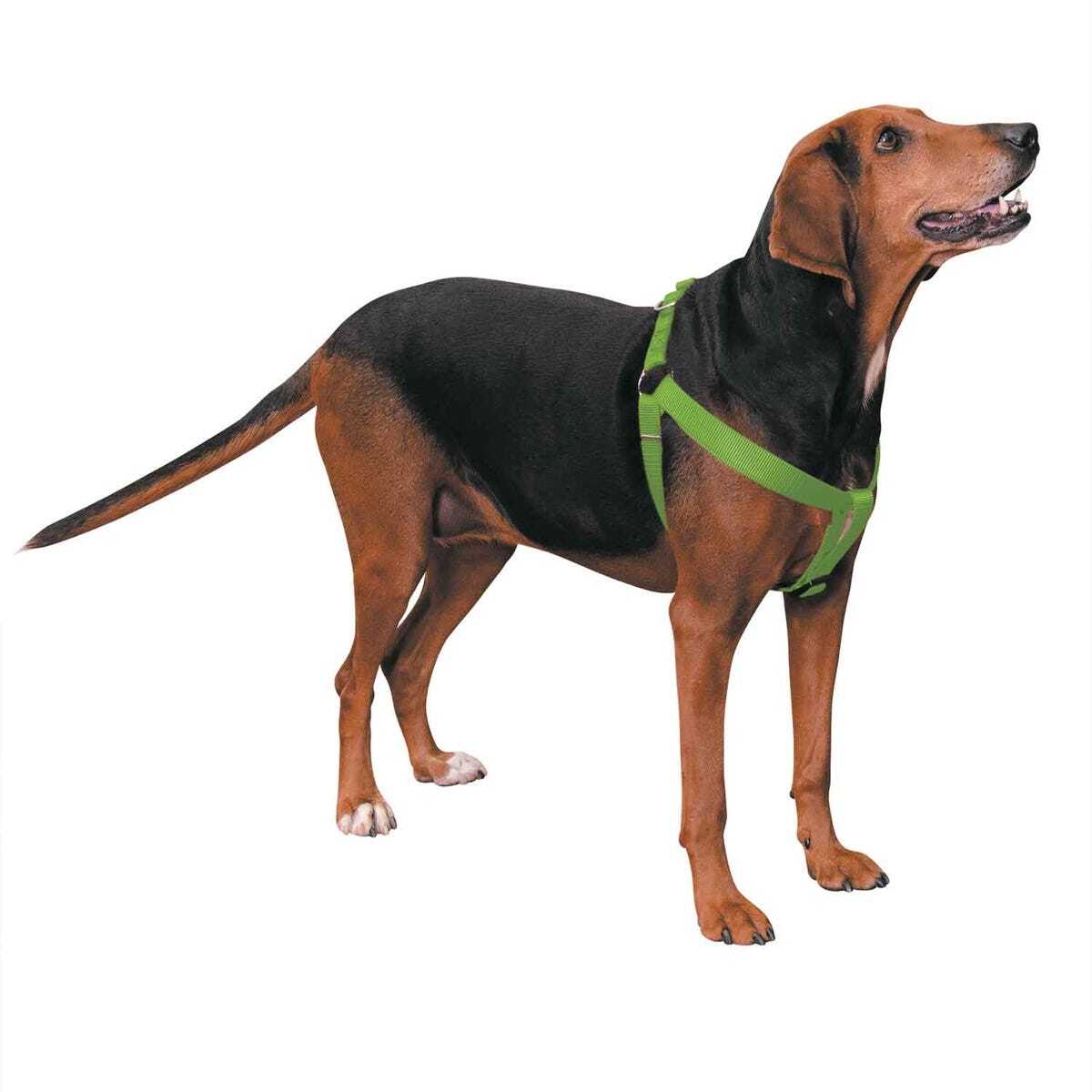 Casual Canine Two-Step Harness 25-40 x 1 in Red